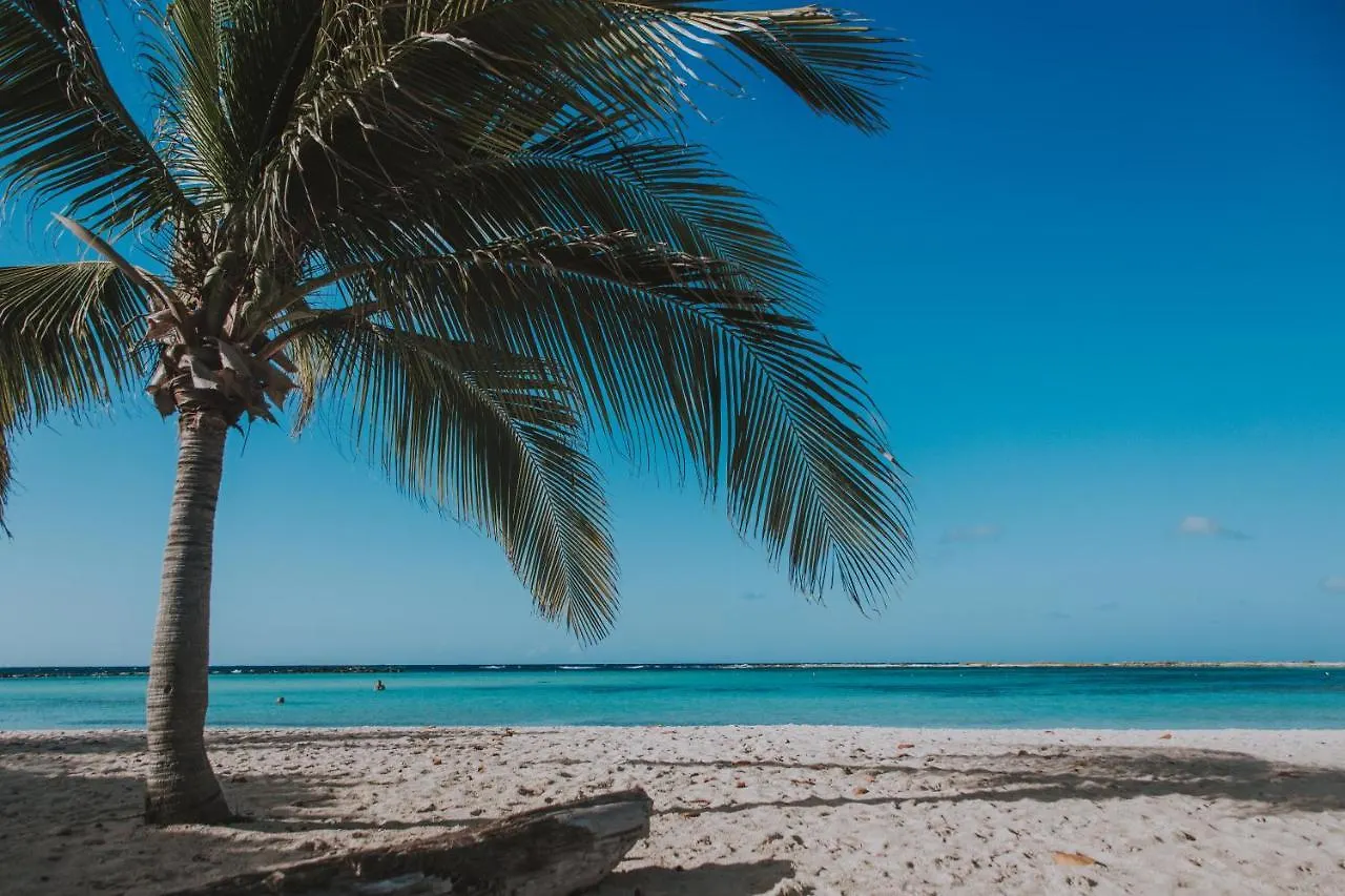 Because Location Really Is Everything! Oranjestad Aruba