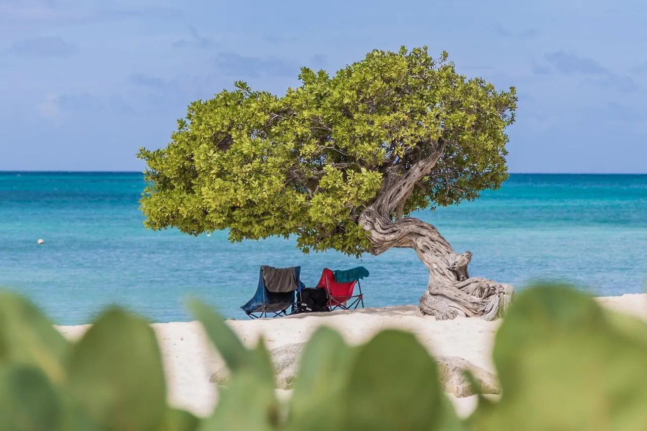 Because Location Really Is Everything! Oranjestad