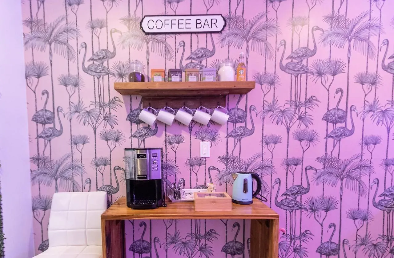 アパート Because Location Really Is Everything! オラニエスタッド アルバ
